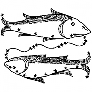 pisces fish